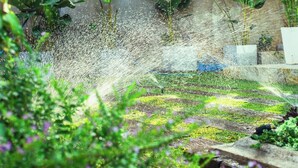 Un jardín con sistema de riego por aspersión, plantas en macetas y un sendero de piedra.