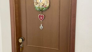 Una porta marrone con un decoro circolare raffigurante un cervo, alberi e il testo 'Villa Stefania'.