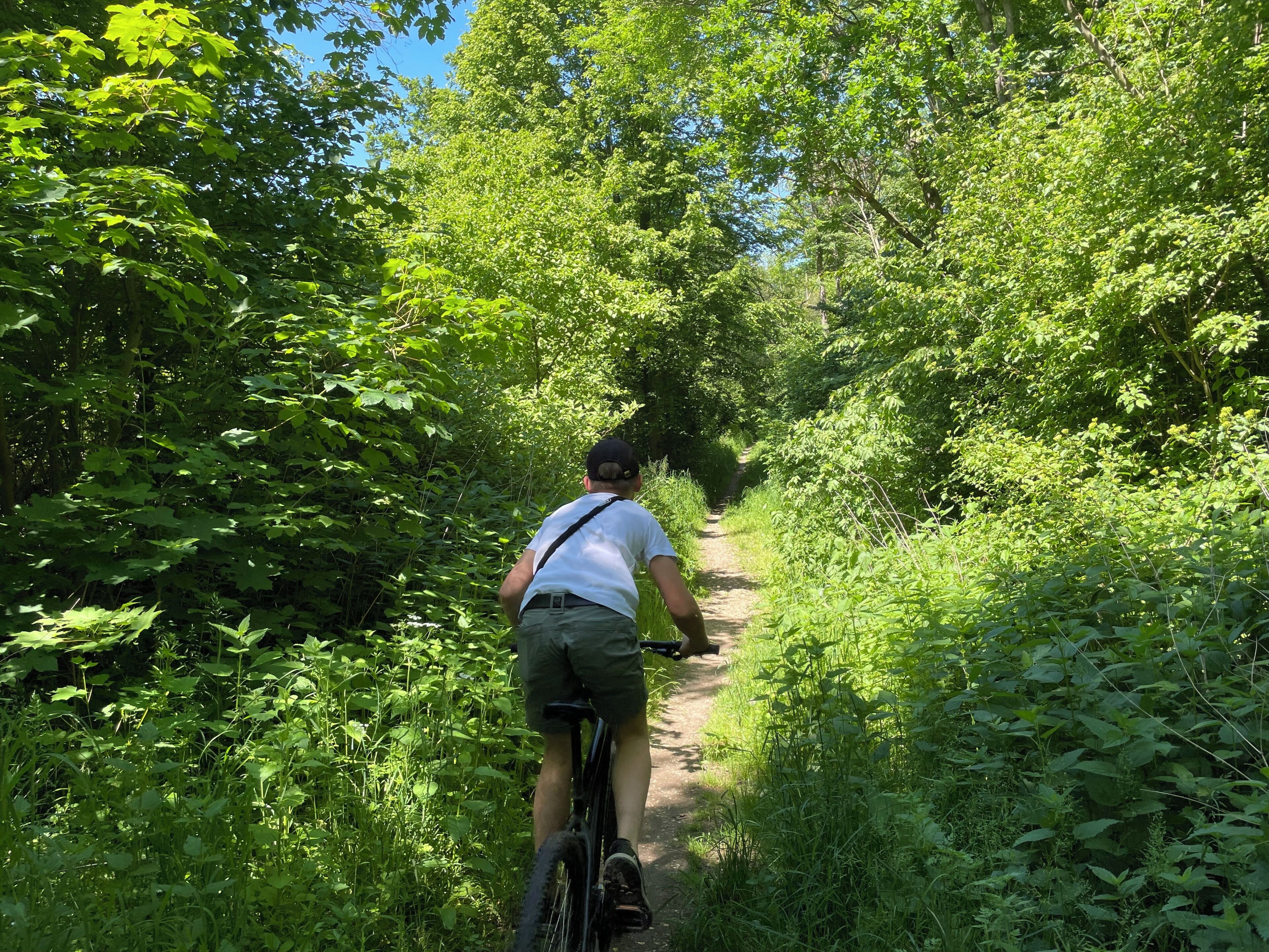 Eine Person fährt Fahrrad auf einem schmalen Pfad, der von dichtem Grün umgeben ist.
