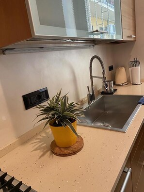 Apartment (2 Bedrooms) | Eigene Küche | Mikrowelle, Herdplatte, Geschirrspüler, Espressomaschine