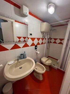 Appartement Duplex | Salle de bain | Douche, bidet, serviettes fournies