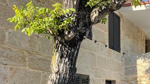 A stone building with a tree and flower bed in front. - Rural house Reibón (Moaña)