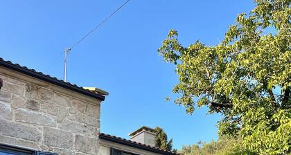 Rural house Reibón