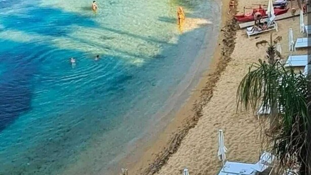 Una playa con agua cristalina, gente nadando y tomando el sol, y una hilera de sombrillas.