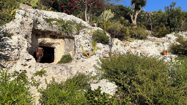 A cave-like structure with a small opening, surrounded by various plants and trees.