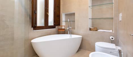 Shower, hair dryer, bidet, towels