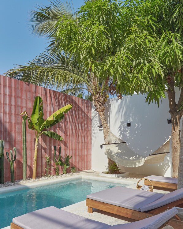 Un espace piscine avec des chaises longues, un palmier et des cactus, le tout adossé à un mur rouge et blanc.