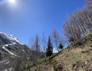 View from property - Apartment in Belle Etoile Near Ski Slopes (Les Deux Alpes)