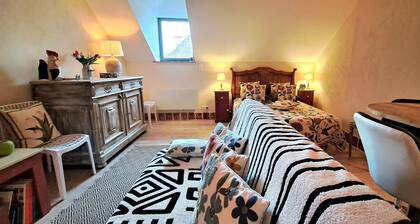 Cosy Studio Loft Air-conditioned