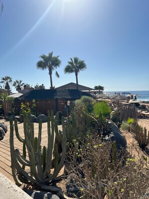 Un paysage désertique avec des cactus, des palmiers et une terrasse en bois.