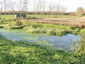 المنطقة المحيطة بالمنشأة