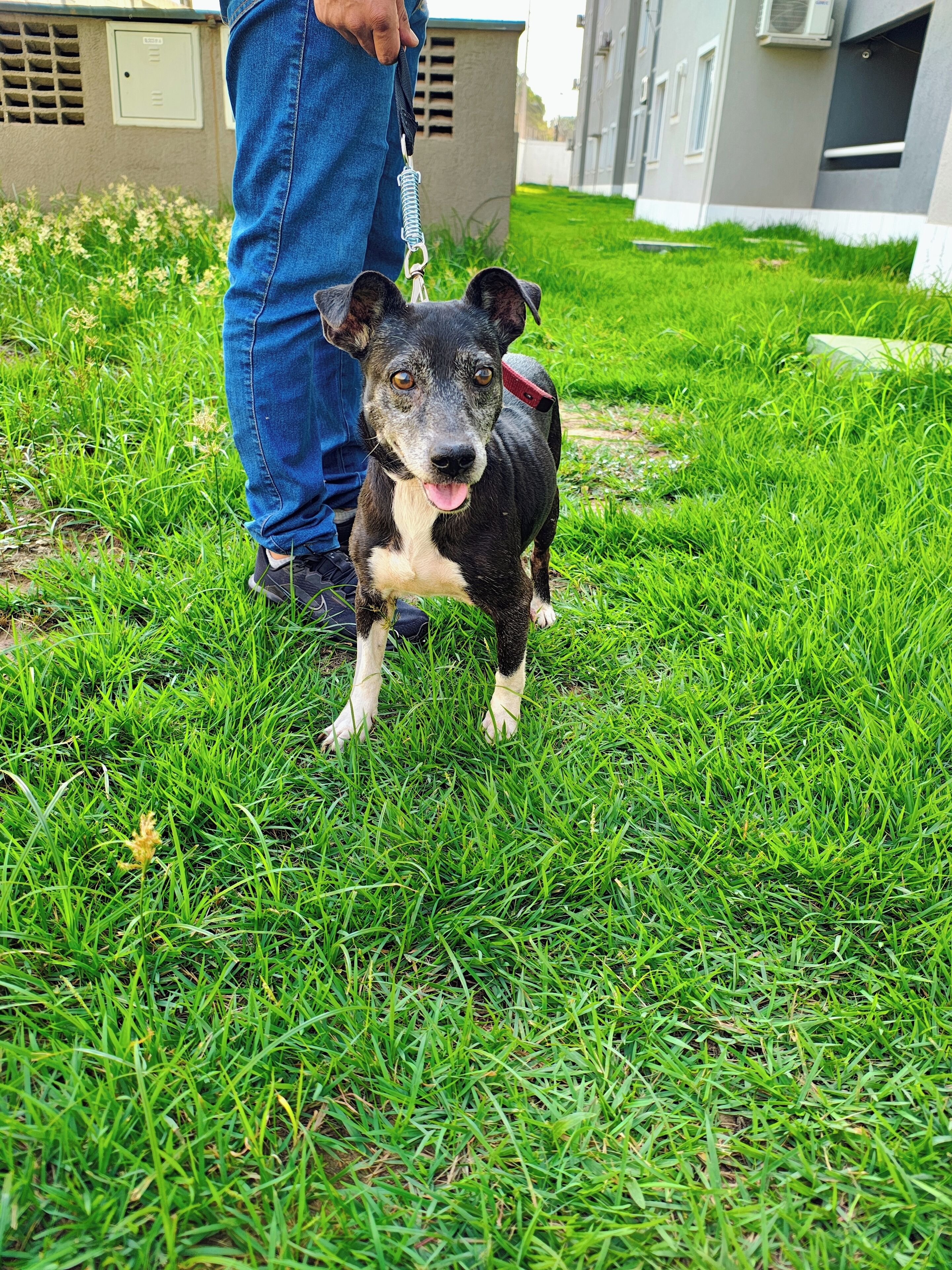 Área da propriedade