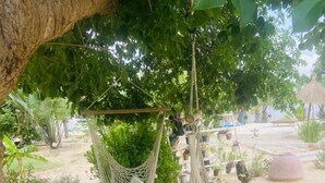 Un hamac suspendu sous un arbre, une terrasse carrelée et diverses plantes en pot.