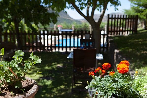 Jardines del alojamiento