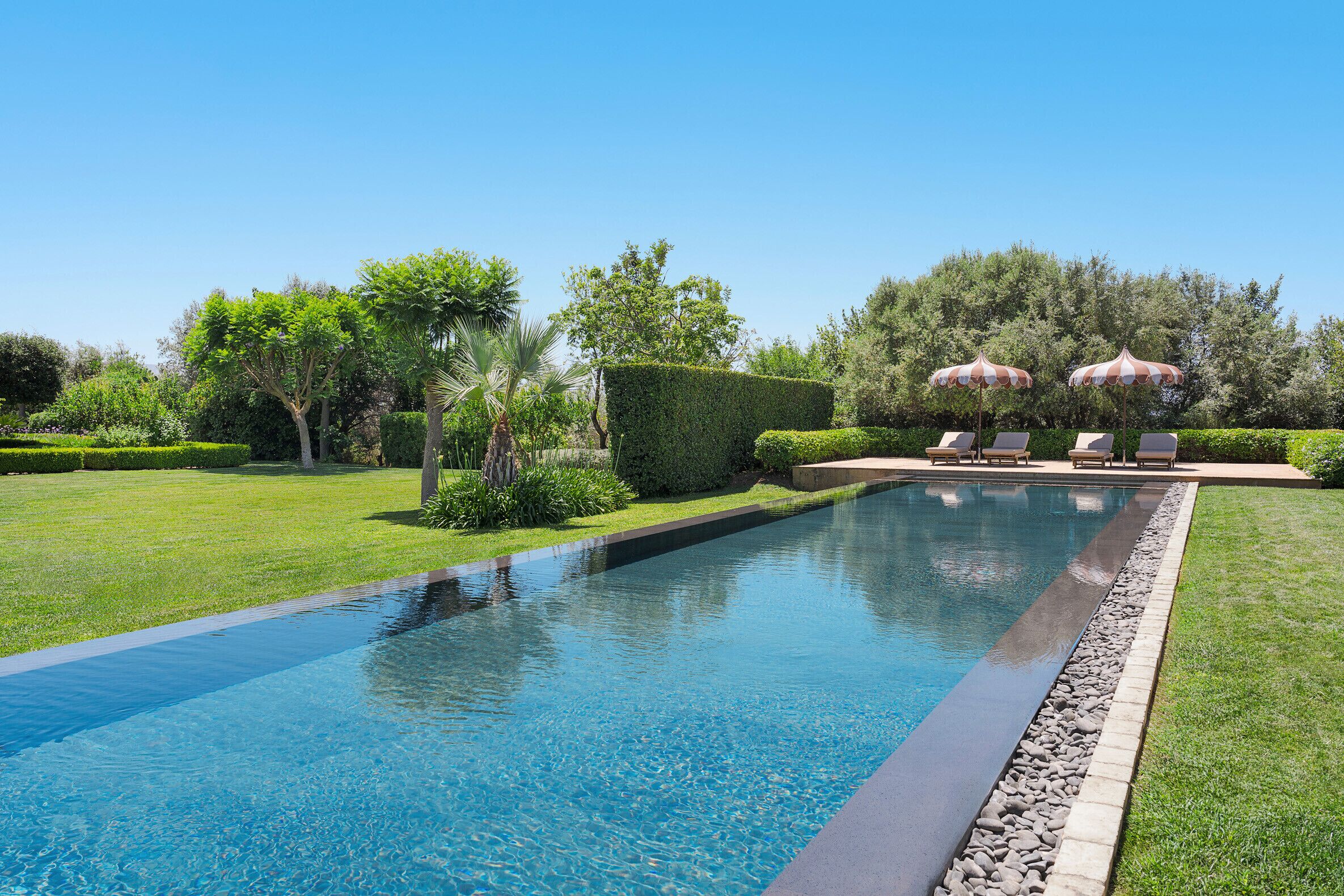 A swimming pool with a clear blue water surface, surrounded by well-manicured grass and hedges.
