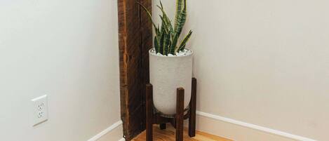 Habitación con un reposapiés de cuero marrón, una planta en maceta y un televisor de pantalla plana montado en la pared.
