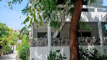 Un bâtiment à la façade blanche, un grand arbre au premier plan et un chemin piétonnier dallé.