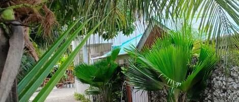 Área da propriedade