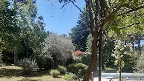Un jardín con un sendero de piedra, plantas en macetas y un banco.