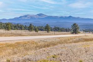 A road with a fence and trees in the foreground, and mountains in the background. - Fish, Hike & Explore: Mtn-view Lake George Studio (Florissant)