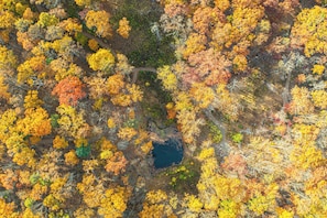 An aerial view of a forest with a lake surrounded by trees in autumn colors.