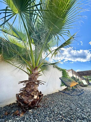 Terrace/patio - Casaleoni villa 10 persons with private heated pool (Prunelli-di-Fiumorbo)