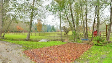 Huoneisto (1 Bedroom) | Sisätilat