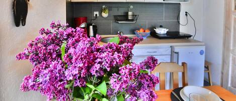 House | Private kitchen