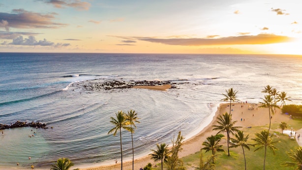 A beach with palm trees, ocean waves, and people. - Charming 3BR Koloa Shore Cottage with ocean views and AC, sleeps 6 in Poipu (Koloa)