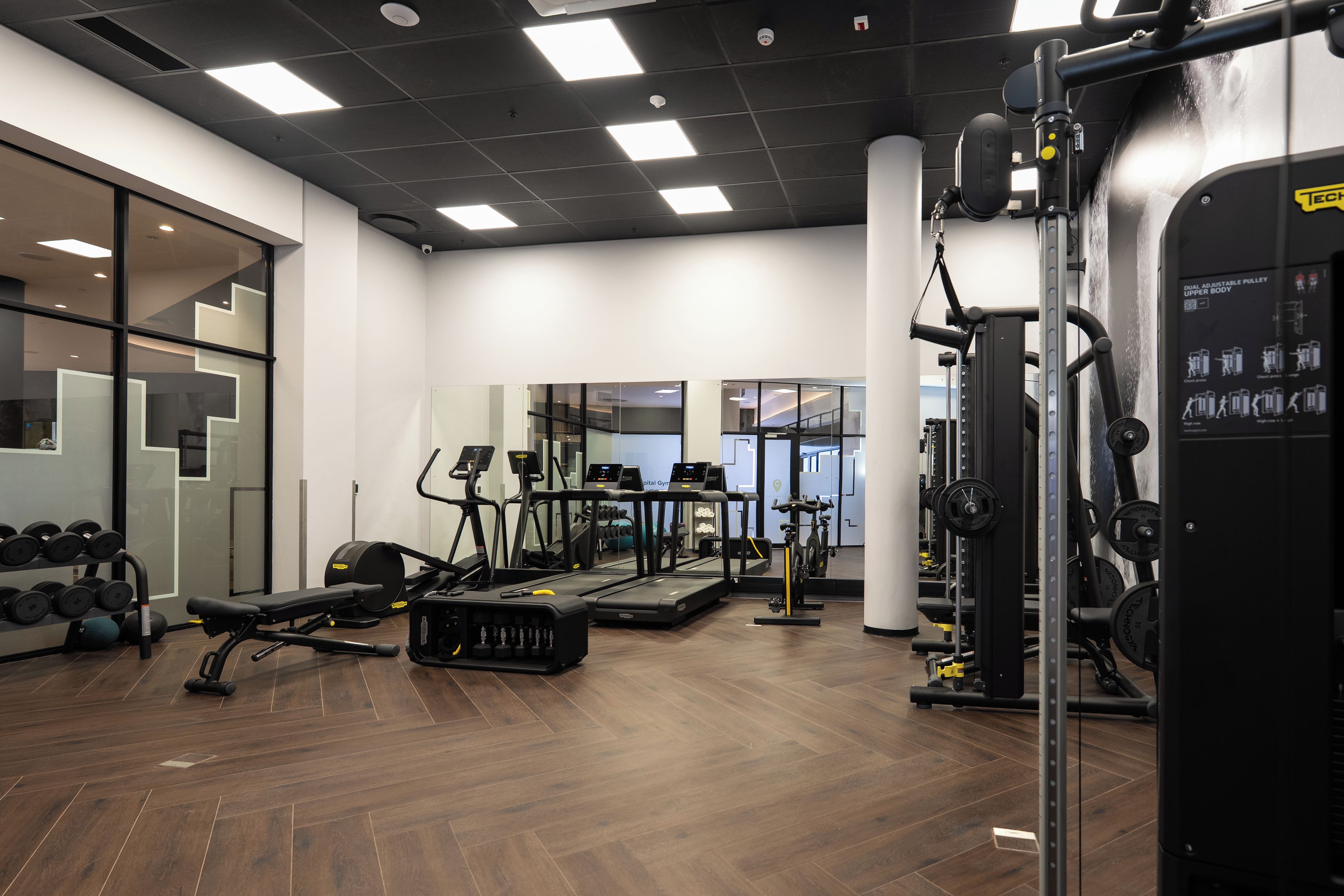 A gym with treadmills, weight machines, and free weights.