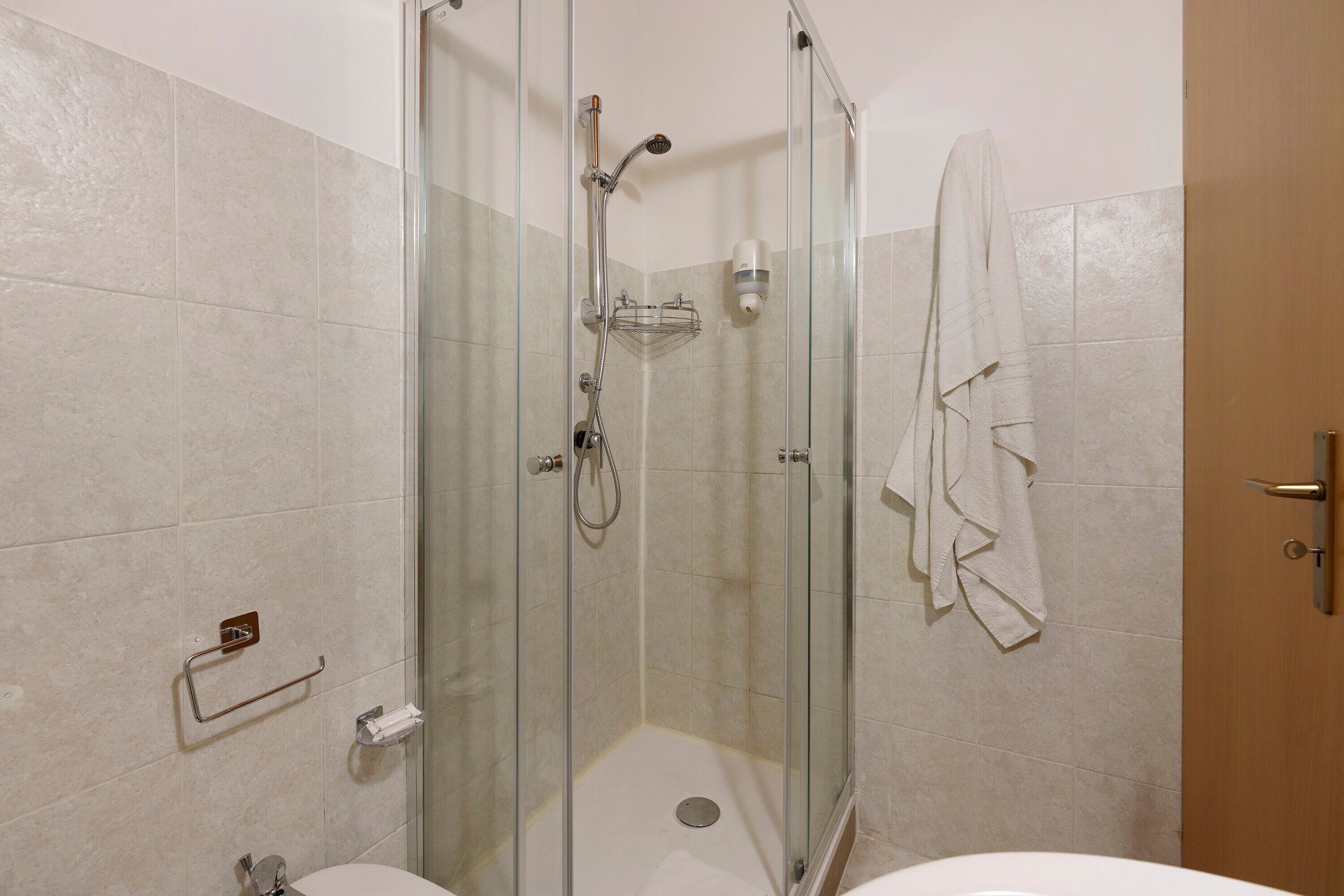Shower, hair dryer, towels