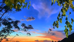 A coastal sunset view with a stone wall and foliage. - Room 'Camera Palinuro Vista Mare' with Sea View, Wi-Fi and Air Conditioning (Pisciotta)