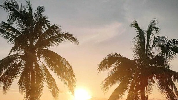 Escena de playa con dos palmeras y el sol poniéndose sobre el océano.