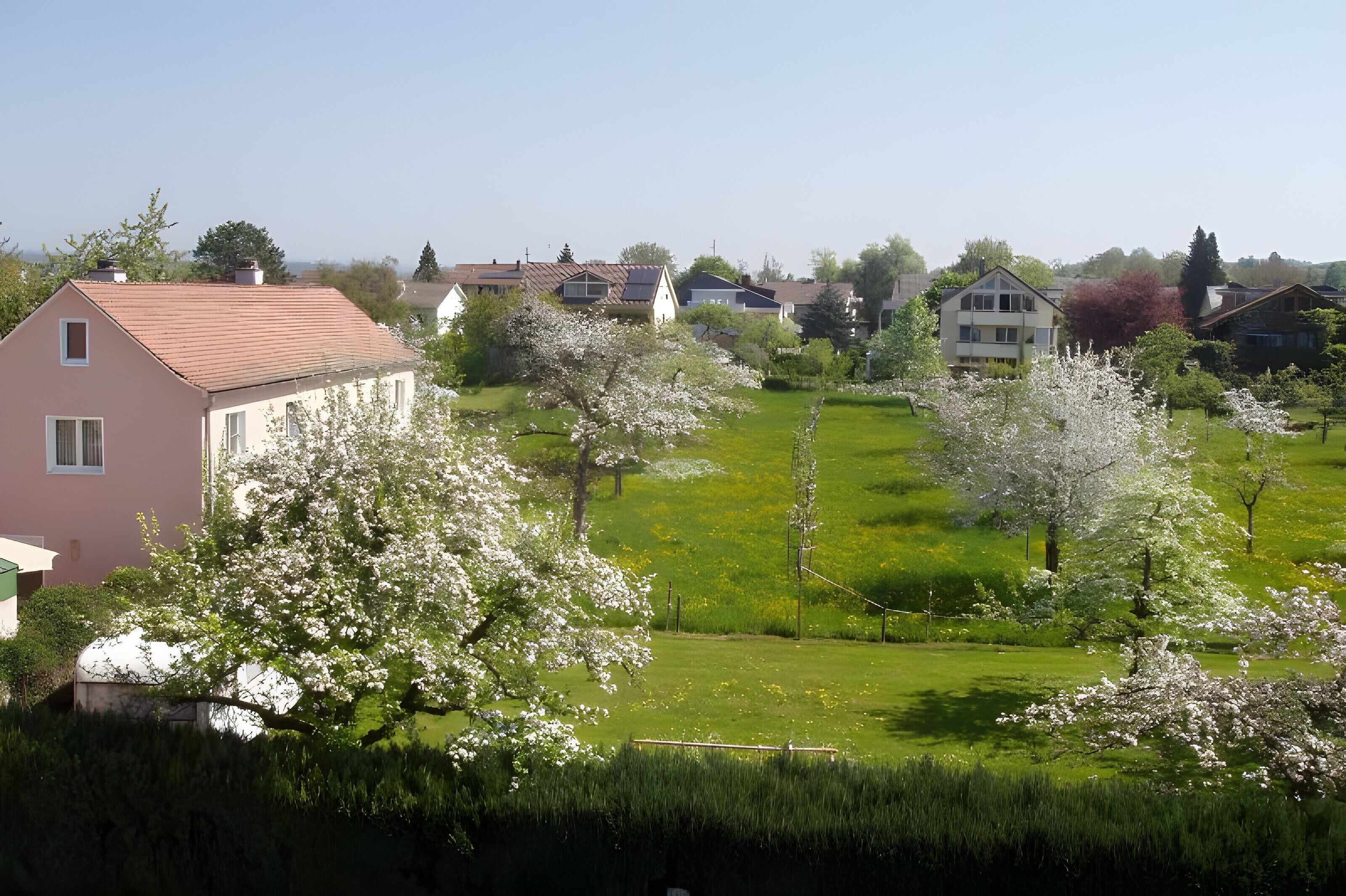 Ein Wohngebiet mit Häusern, grünen Rasenflächen und blühenden Bäumen.