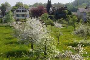 Property grounds - Apartment Type B 2, 42 sqm, 1 Bedroom, Max. 2 Guests (Uhldingen-Mühlhofen)