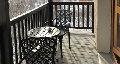 Appart' Hotel 2 people in Vallouise-Pelvoux! Family home since 1896