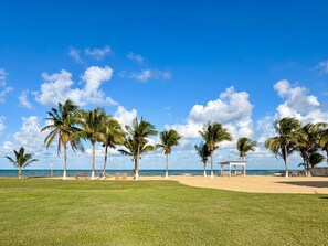 A beach with palm trees, a grassy area, and a clear blue sky. - Sunshine Cabanas At Ocean View (Dangriga)