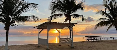 A beach with a gazebo, palm trees, and a sunset.