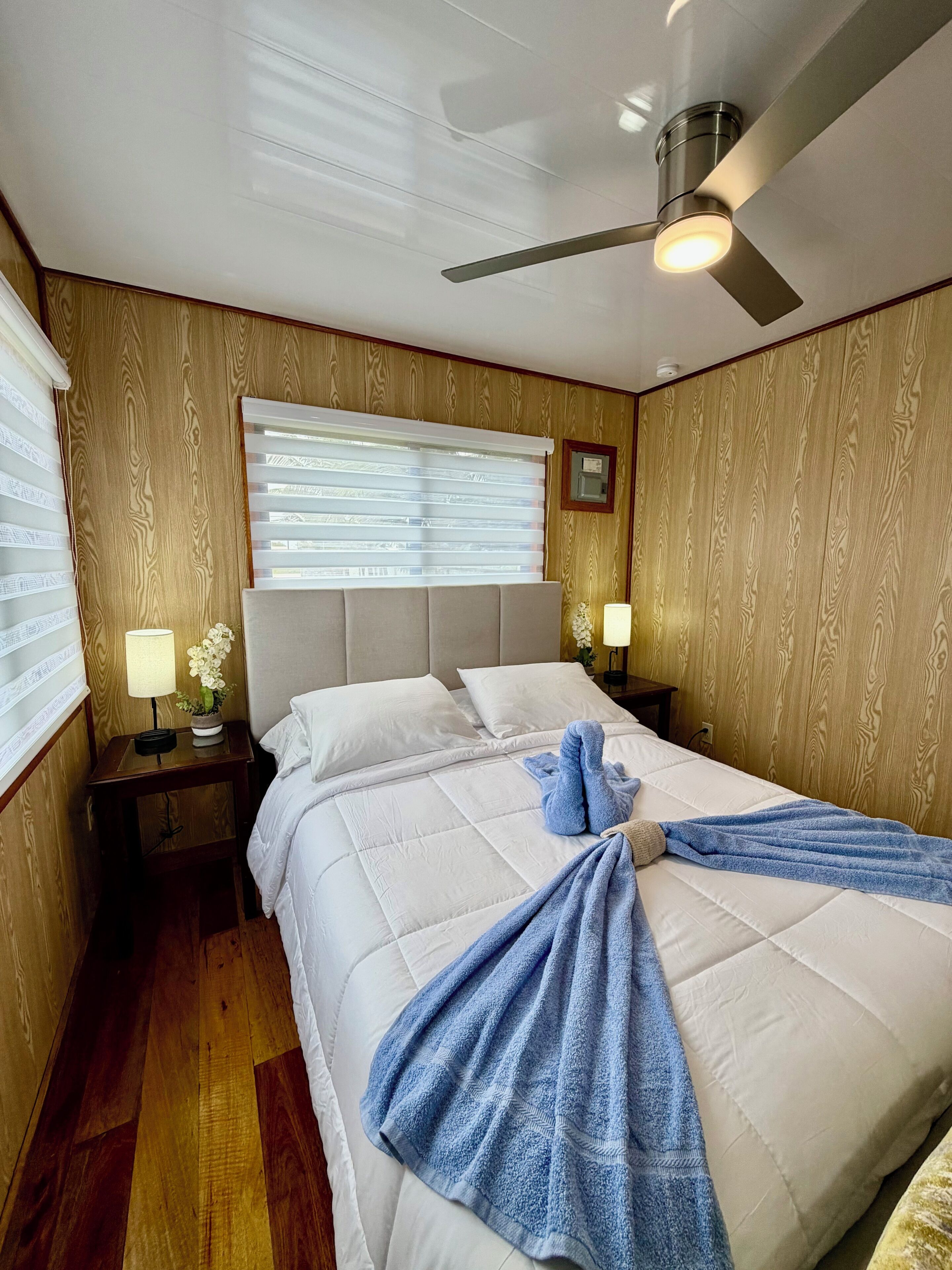 A hotel room with a bed, a ceiling fan, a window with blinds, and a nightstand with a lamp.