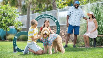 Kjæledyrvennlige fasiliteter