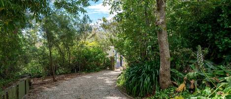 Un chemin de gravier traverse un jardin luxuriant, avec un feuillage dense, et on aperçoit un bâtiment au loin.