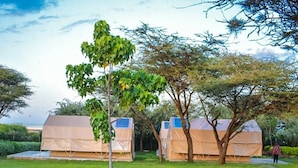A grassy area with two beige tents, one with a blue roof, and a tree in the foreground. - Northgate Resort Isiolo (Isiolo)