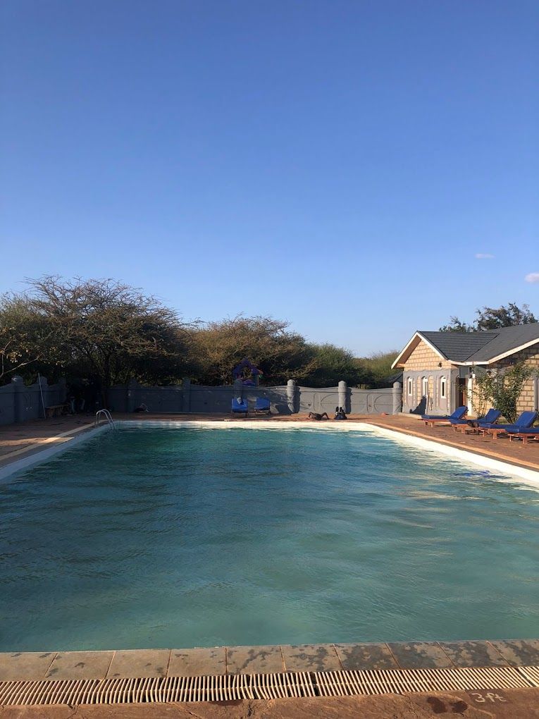 Una piscina rectangular con una plataforma de salto, rodeada de sillas de descanso y un pequeño edificio.