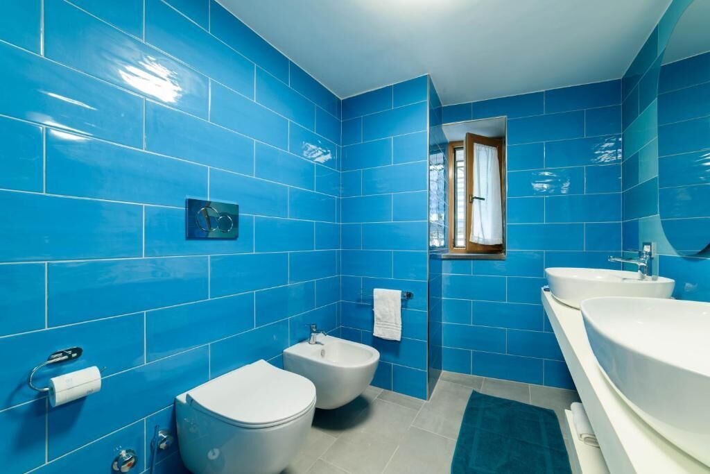Bidet, soap, shampoo, toilet paper