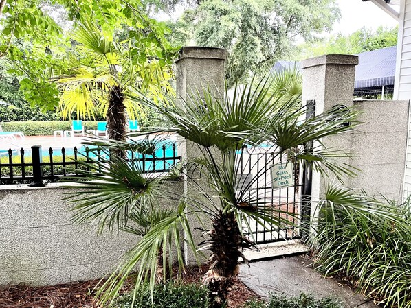 Property grounds - Beach Square 2 –optional BIKES – Walk 2 Redfern Village, shops, and restaurants! (St. Simons Island)