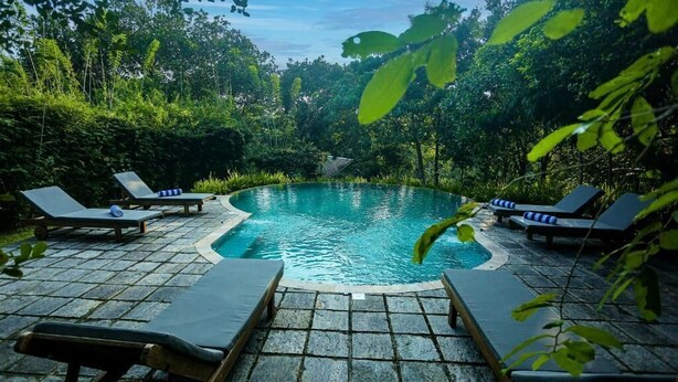 Una piscina circular con sillones de descanso a su alrededor, rodeada de abundante vegetación.