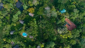 Vista aérea de una propiedad con varios edificios rodeados de un bosque denso.