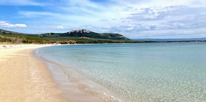 Beach umbrellas -  Apartments in Alghero just 150 mt from the sea (Alghero)
