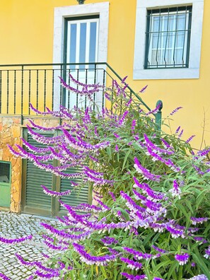 Exterior - QUINTA DO RIBEIRINHO (Gaviao)