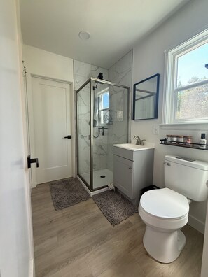 A bathroom with a glass-enclosed shower, a white toilet, a sink, and a mirror above the sink.
